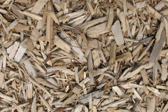 biomass boilers Pencaerau
