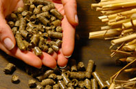 free Pencaerau biomass boiler quotes